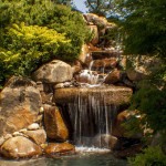 landscaping ideas Sacramento