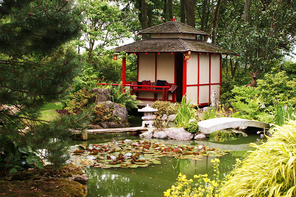 chinese garden building bridge and pond