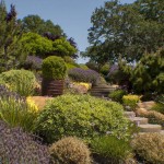 Sacramento landscape design