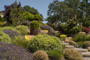 front yard steps