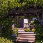 front yard steps vine covered trellis