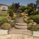 El Dorado Hills Landscape Design