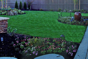 Green Landscaping Folsom