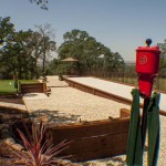 Roseville landscape design options