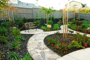 sacramento-back-yard-backyard-bench-stone-patio-path-hardscape-capital-landscape-web