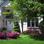 Landscape Design El Dorado Hills