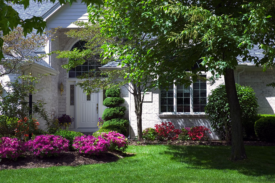 sacramento-front-yard-pink-azaleas-grass-lawn-capital-landscape-web_1