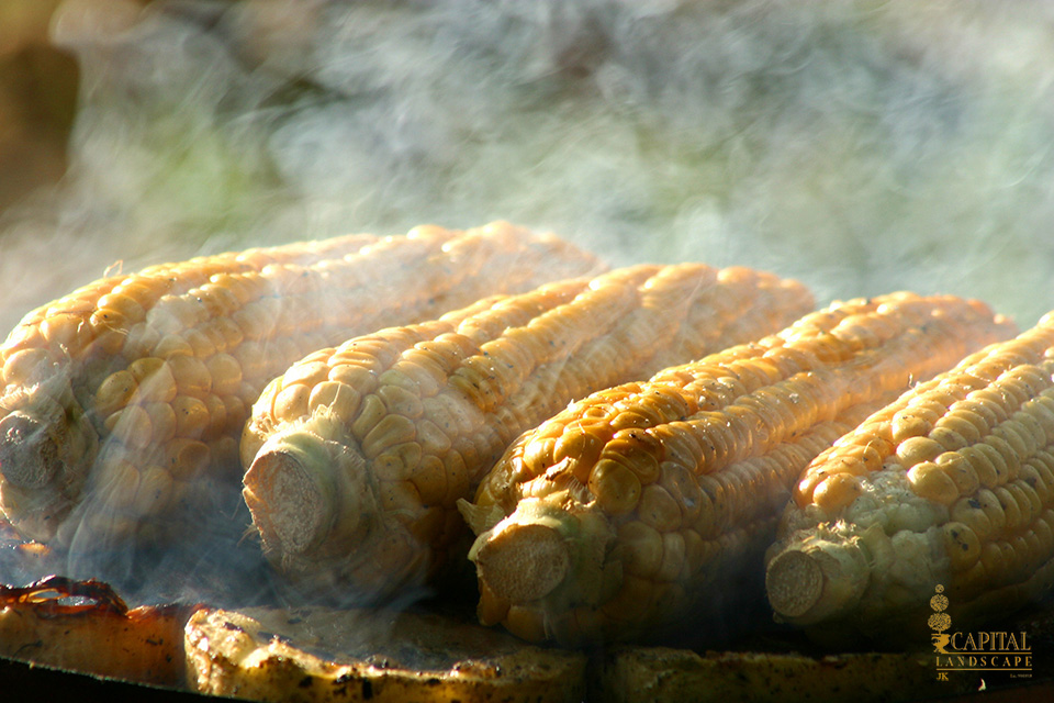 corn-grill-bbq-barbeque-fathers-day-sacramento-capital-landscape