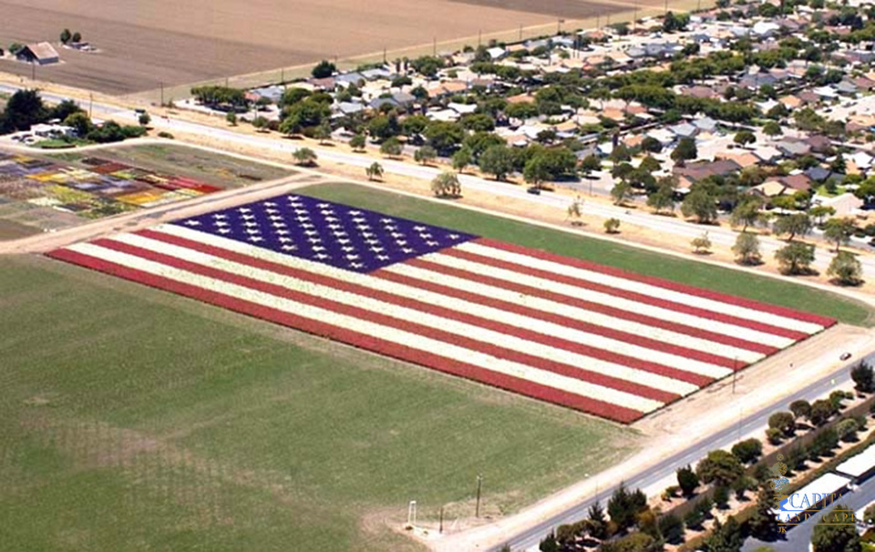 floral-flag-lompoc-sacramento-landscape-capital-landscape