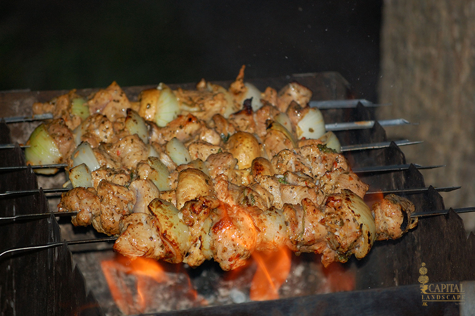 pork-kebab-grill-bbq-barbeque-fathers-day-sacramento-capital-landscape