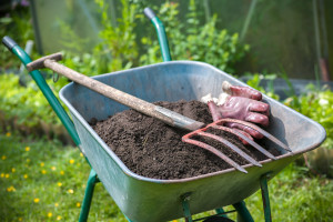 bigstock-Gardening-34511177