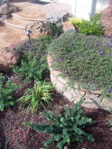 roseville-backyard-rock-planter-capital-landscape