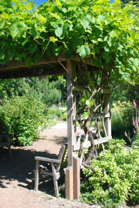 Arbor, Trellis, Pergola