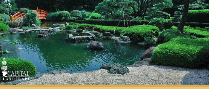 Arden Arcade Landscape Zen Garden