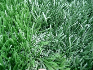 Artificial Turf Options for Drought Tolerant Lawns