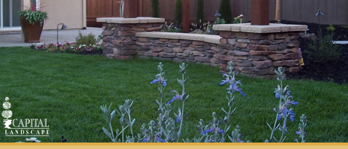 Landscape Design Folsom