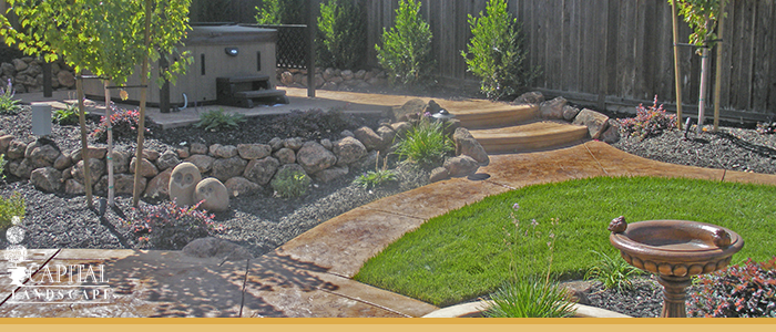 Landscape Design Roseville