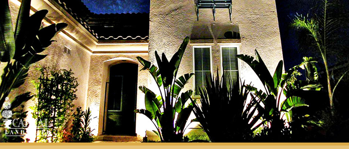 Landscape Lighting Design Sacramento