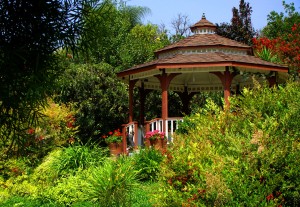 Gazebo Shade