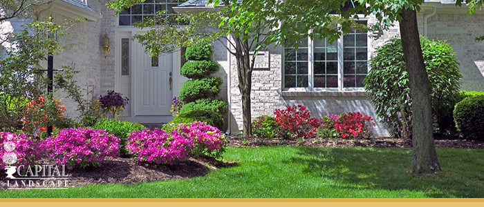 Best Front Yard Landscape Designs Rocklin CA