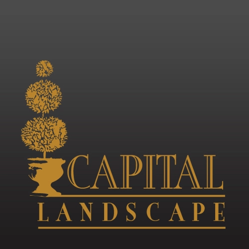 Capital Landscape Roseville | Sacramento | El Dorado Hills | Folsom