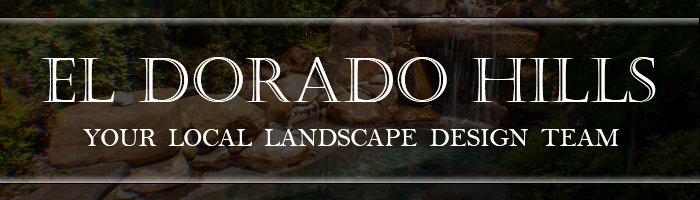 El Dorado Hills Landscape Design