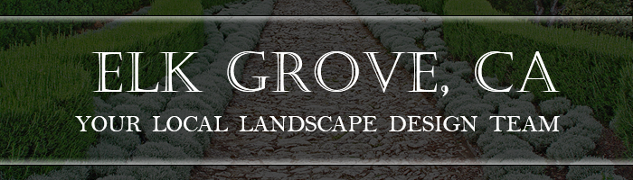 Elk Grove Landscape Design