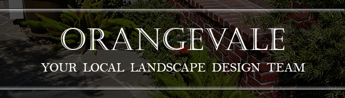 Orangevale Landscape Design
