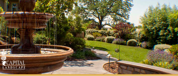 Custom Landscape Design Solutions