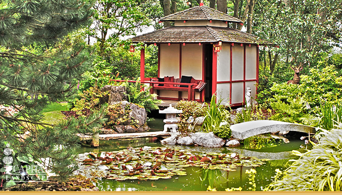 Custom Landscape Designed Garden and Pond