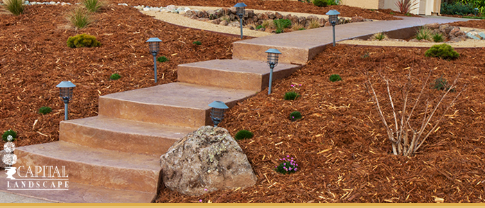 Drought Proof Landscape Solutions