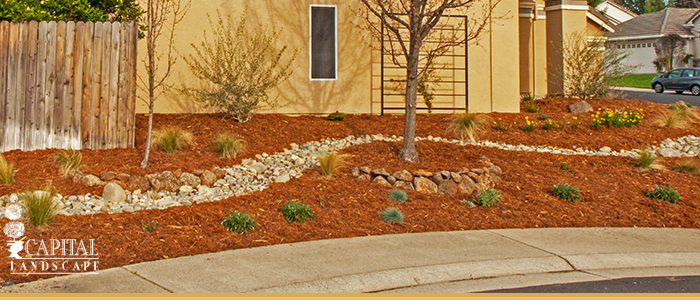 Drought Proof Landscapes in Granite Bay