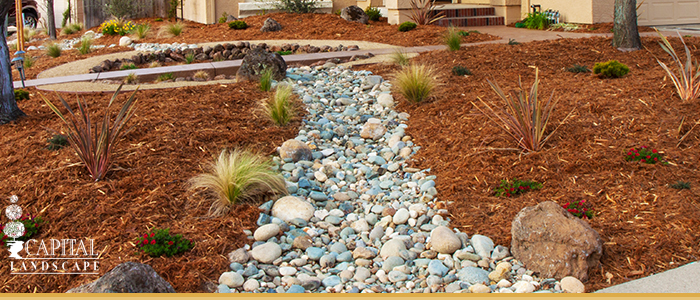 Drought Proof Landscaping in Elk Grove