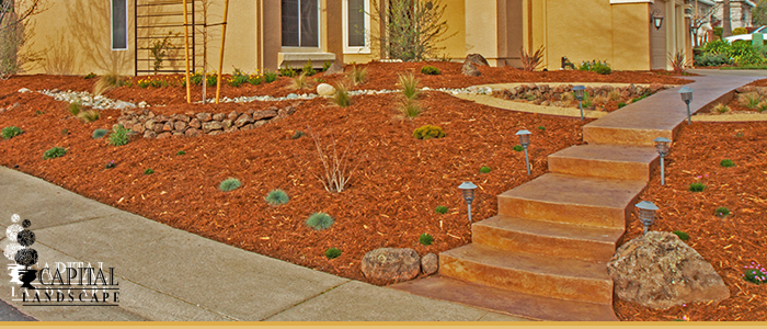 Drought Tolerant Landscape Design Sacramento