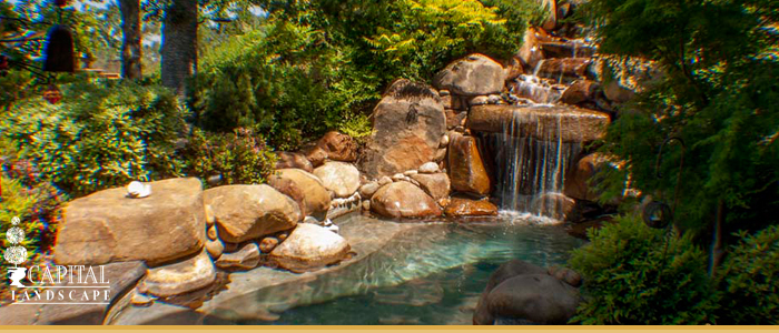 El Dorado Hills Landscape Design Services