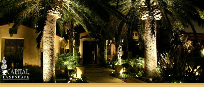 Landscape Design Granite Bay CA