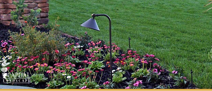 Landscape Design Sacramento Elk Grove CA