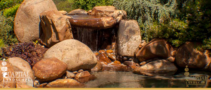 Landscape Design and Installation Fair Oaks CA