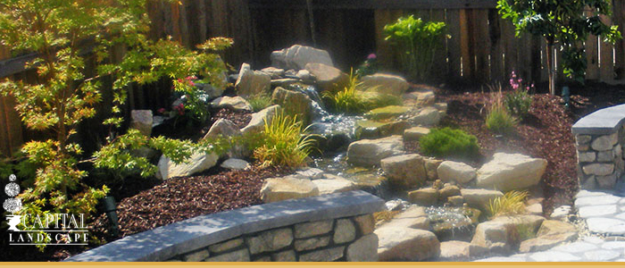 Landscape Design Water Features in Citrus Heights