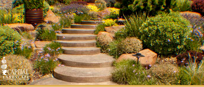 Landscaping Orangevale