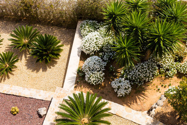 Perfect Drought-Tolerant Landscape